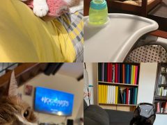 6F542973-228D-4FA9-A16E-3C33A63396F6.jpeg
