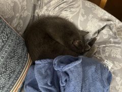 IMG_9381-min.jpeg
